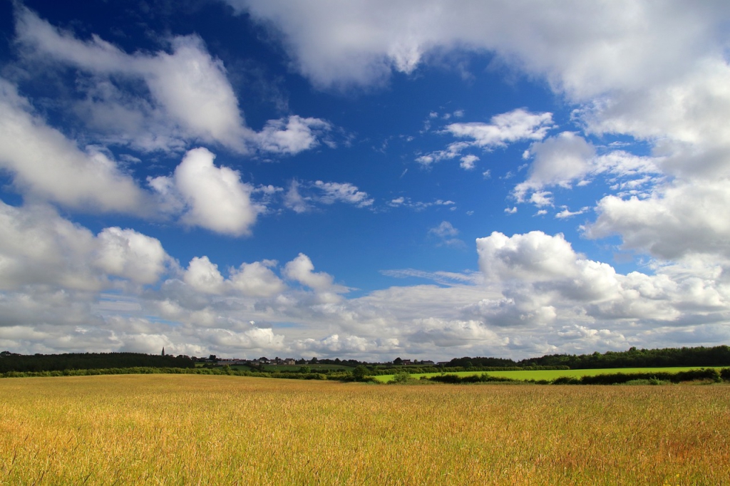 Carroll County