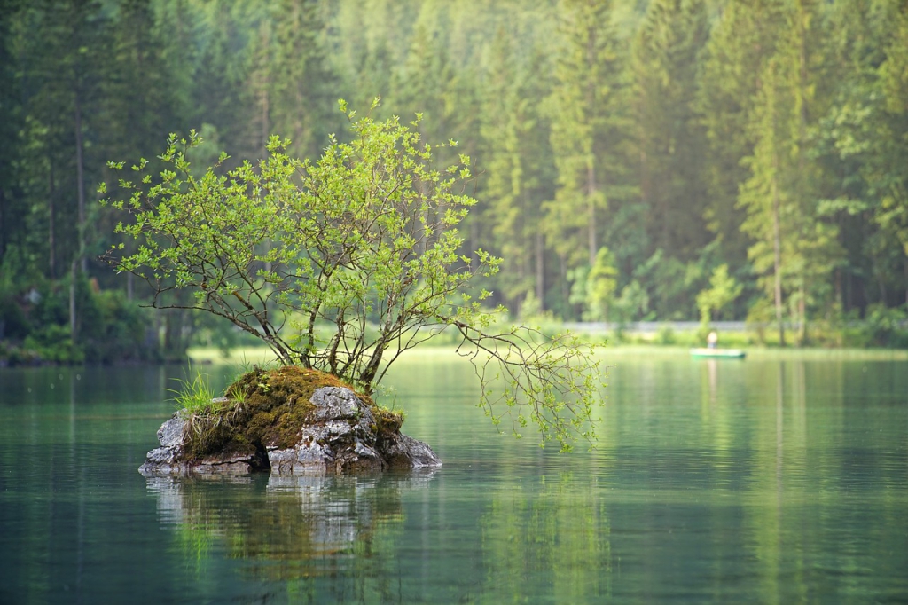 Gunners Lake Village