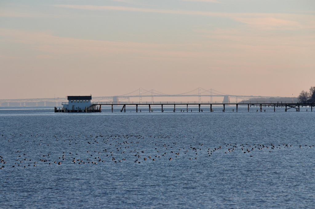 Chesapeake Bay Bridge