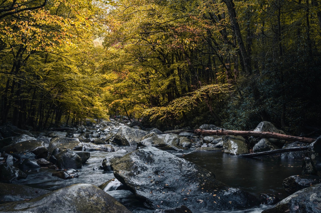Patuxent river