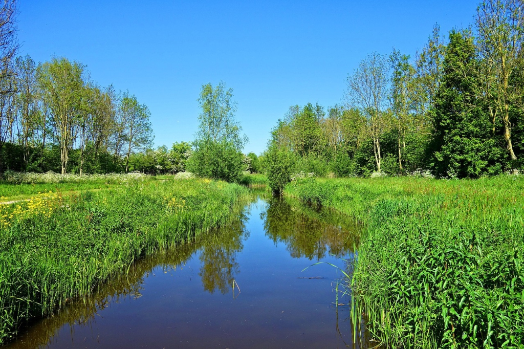 Marshyhope Creek