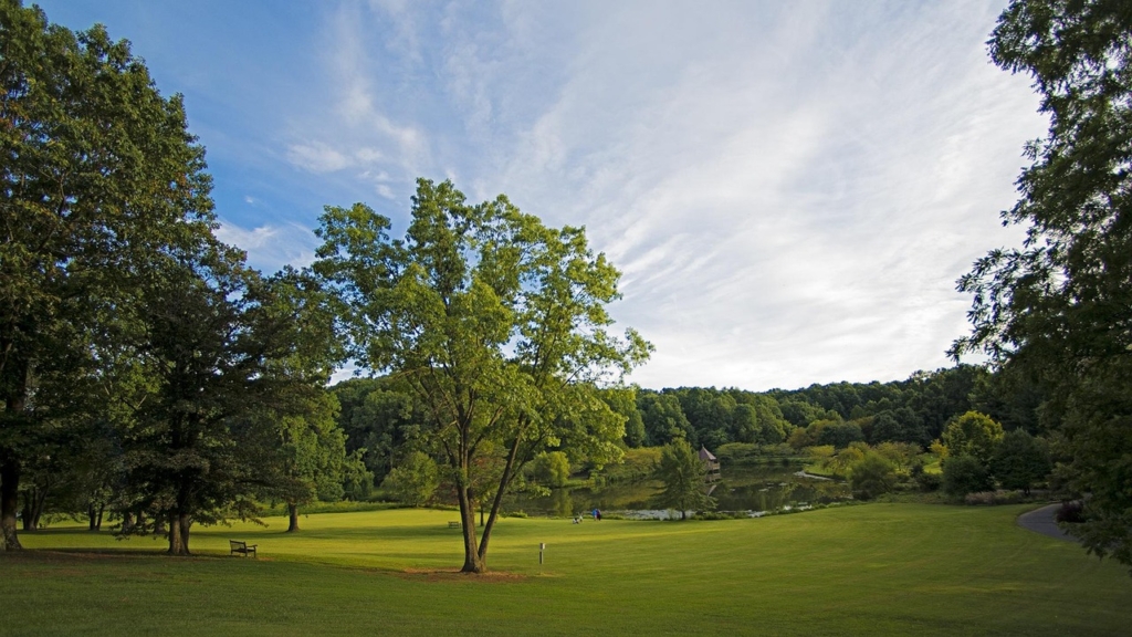 Summer-902183_1280 in Fairfax, VA | REMMOO Real Estate